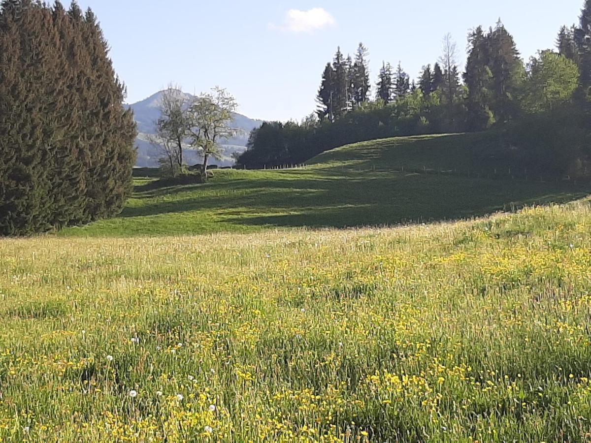 Traumgarten Allgaeu Rettenberg Exterior foto