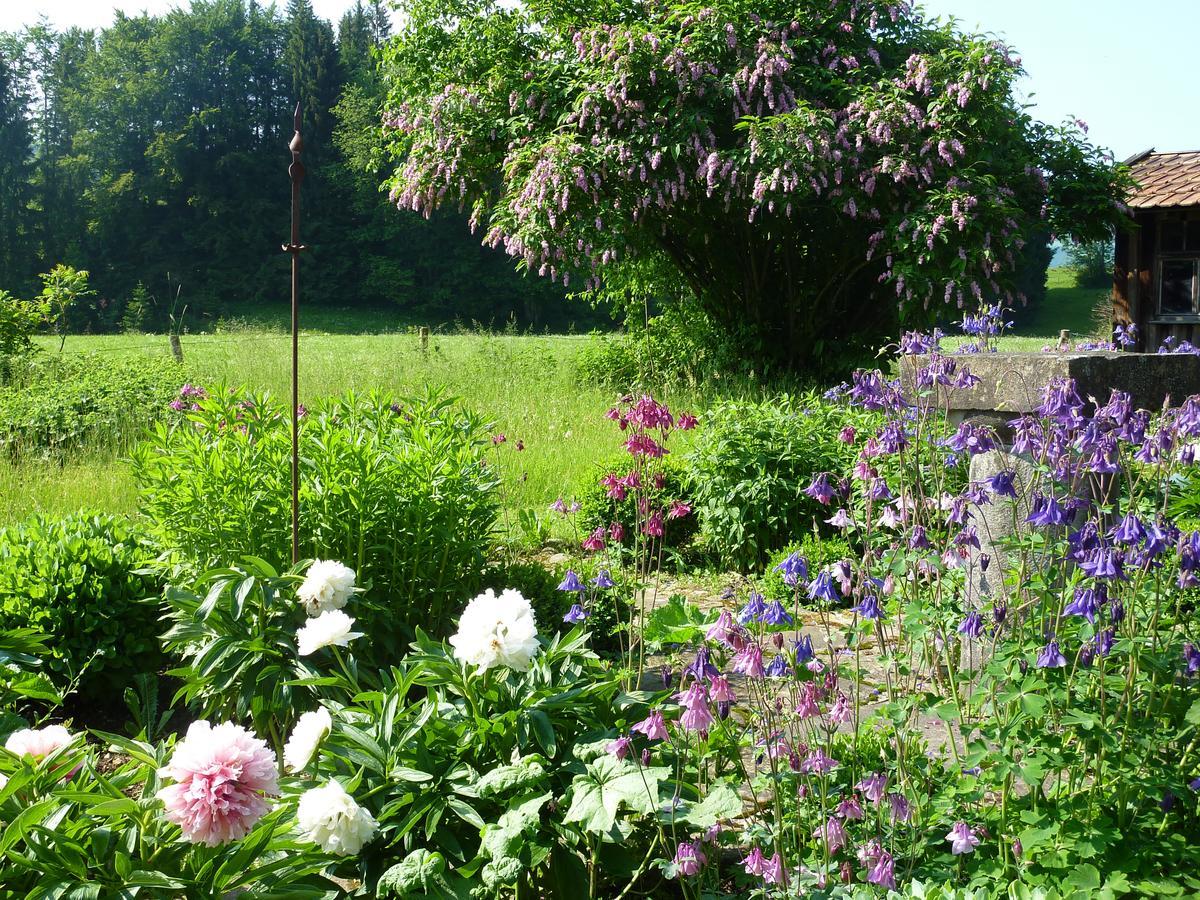 Traumgarten Allgaeu Rettenberg Exterior foto